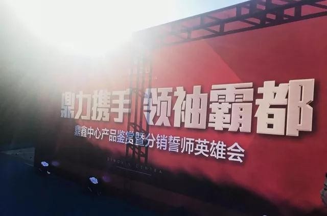 鼎力攜手，領(lǐng)袖霸都！合肥鼎鑫中心產(chǎn)品鑒賞暨分銷誓師英雄會圓滿落幕！