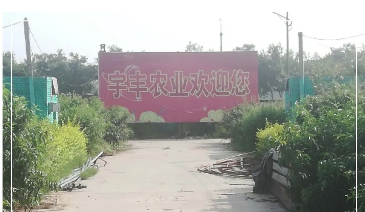 建一個市場、興一方產(chǎn)業(yè)、富一方百姓，孝義農(nóng)產(chǎn)品大市場產(chǎn)供銷一體化在行動！