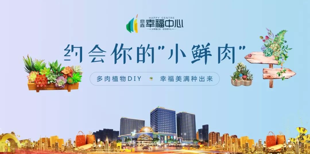 約會你的“小鮮肉” 多肉植物DIY，幸福美滿種出來