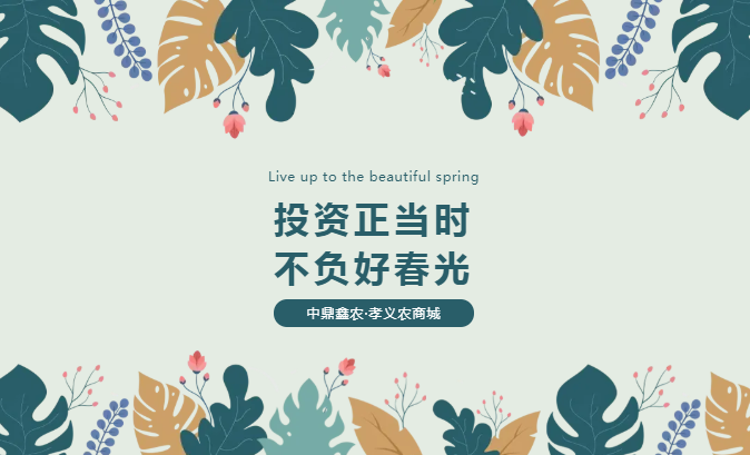 孝義唯一大產(chǎn)權(quán)的農(nóng)批商鋪，投資有保障！
